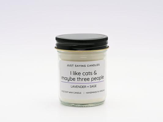 I like cats & maybe three people