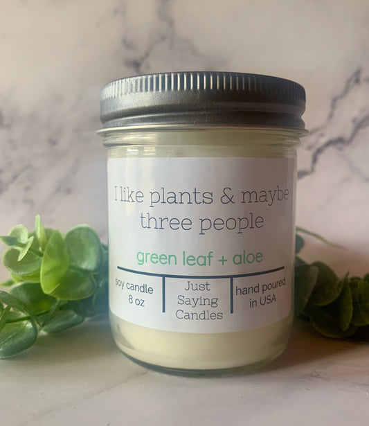 Glass Jar Candle | I Like Plants Candle | just saying candles